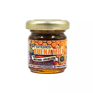 Multivitamínico 180 Gramos - Panales Buena Miel